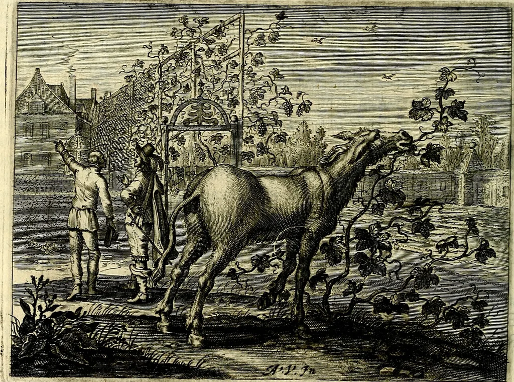 An illustration from Hof-gedachten, dat is, invallen, by gelegentheyt oft op't gesichte van boomen, planten, bloemen, kruyden, en diergelijcke aerdt-gewassen, verweckt, in't Buyten-leven, 1655, leaf 19