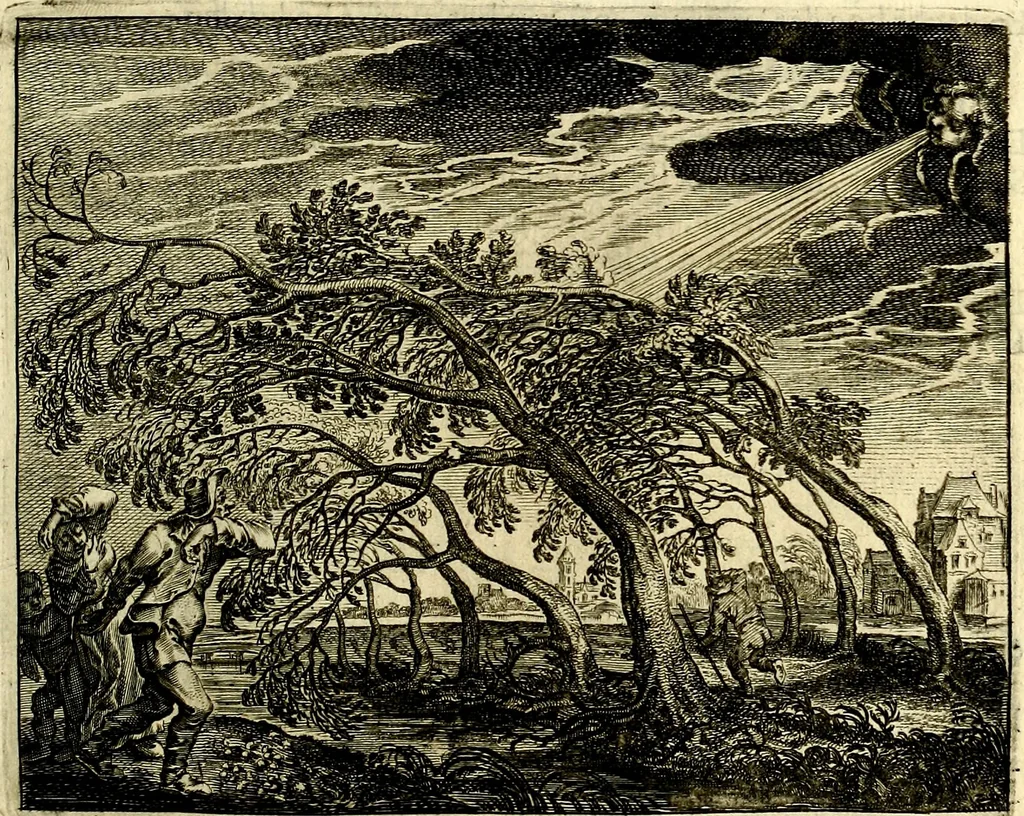 An illustration from Hof-gedachten, dat is, invallen, by gelegentheyt oft op't gesichte van boomen, planten, bloemen, kruyden, en diergelijcke aerdt-gewassen, verweckt, in't Buyten-leven, 1655, leaf 30