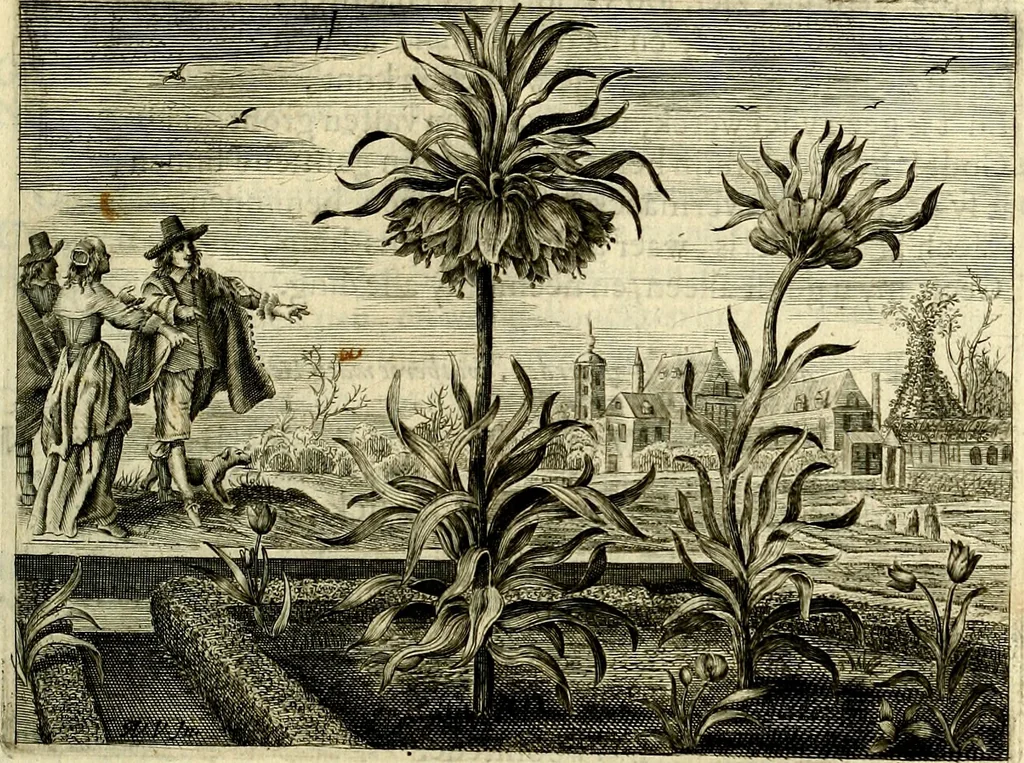 An illustration from Hof-gedachten, dat is, invallen, by gelegentheyt oft op't gesichte van boomen, planten, bloemen, kruyden, en diergelijcke aerdt-gewassen, verweckt, in't Buyten-leven, 1655, leaf 44