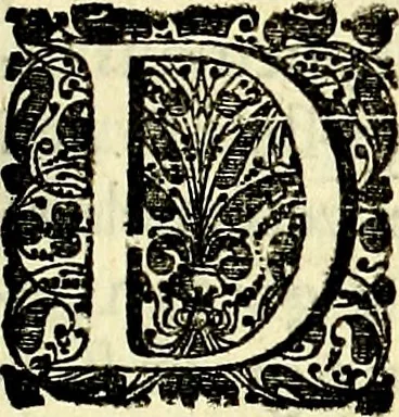 An illustration from Hof-gedachten, dat is, invallen, by gelegentheyt oft op't gesichte van boomen, planten, bloemen, kruyden, en diergelijcke aerdt-gewassen, verweckt, in't Buyten-leven, 1655, leaf 72