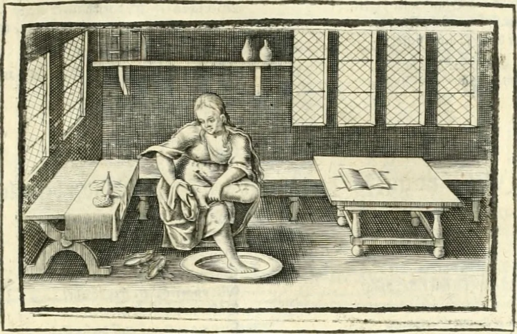 An illustration from Hohe geistreiche Lehren vnd Erklärungen vber die fürnembsten Sprüche dess Hohen Lieds Salomonis von der Liebhabenden Seele : das ist, der Christlichen Kirchen vnd jhrem Gemahl Jesu Christo, 1622, leaf 88
