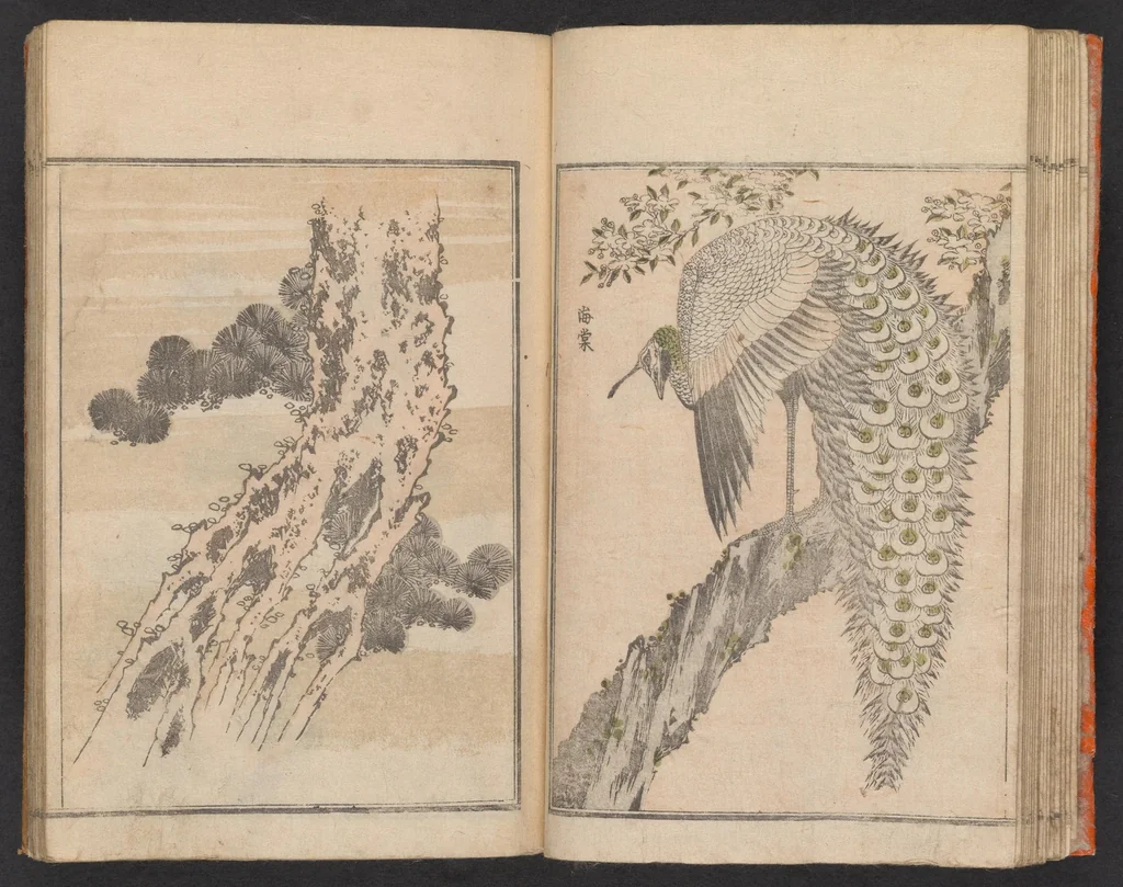 An illustration from Hokkei manga : shohen, 1800, leaf 20
