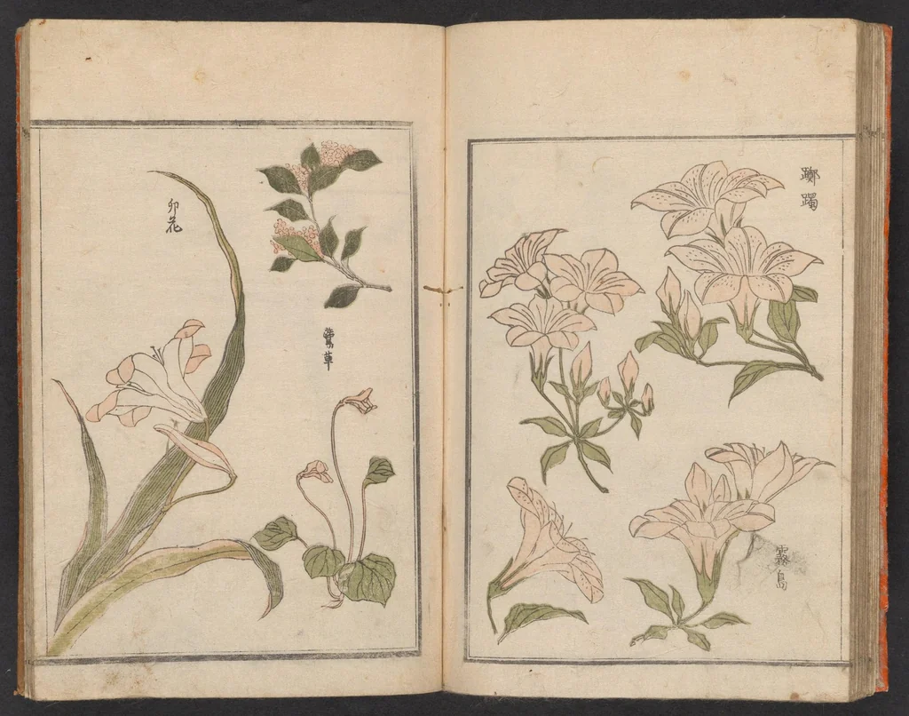 An illustration from Hokkei manga : shohen, 1800, leaf 27