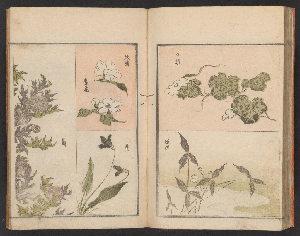 An illustration from Hokkei manga : shohen, 1800, leaf 29