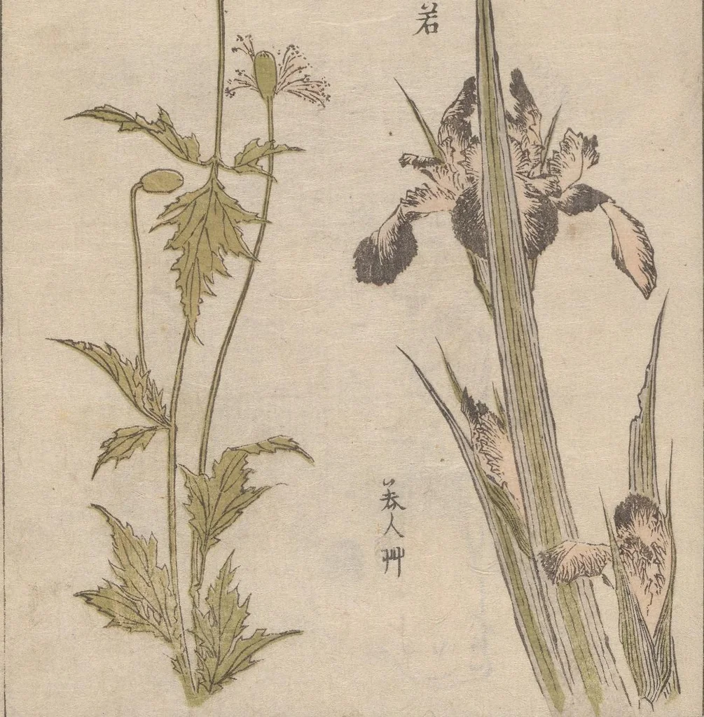 An illustration from Hokkei manga : shohen, 1800, leaf 31