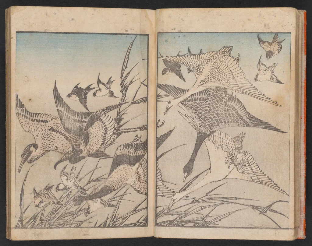 An illustration from Hokusai gafu, 1800, leaf 8