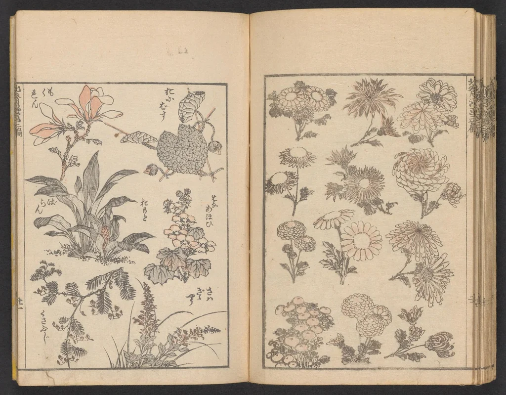An illustration from Hokusai manga. Nihen, yonhen, gohen, shichihen, kyuhen, junihen, 1600, leaf 23