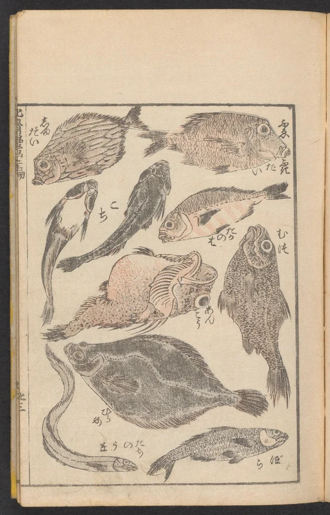 An illustration from Hokusai manga. Nihen, yonhen, gohen, shichihen, kyuhen, junihen, 1600, leaf 25