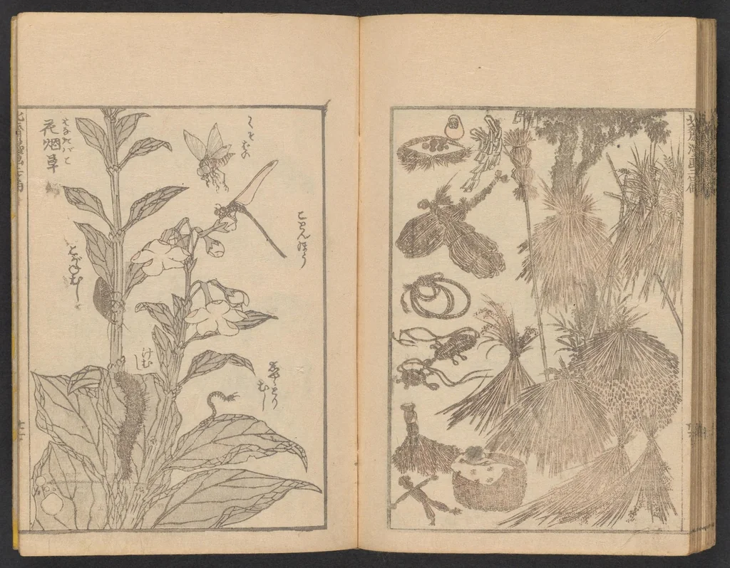 An illustration from Hokusai manga. Nihen, yonhen, gohen, shichihen, kyuhen, junihen, 1600, leaf 29