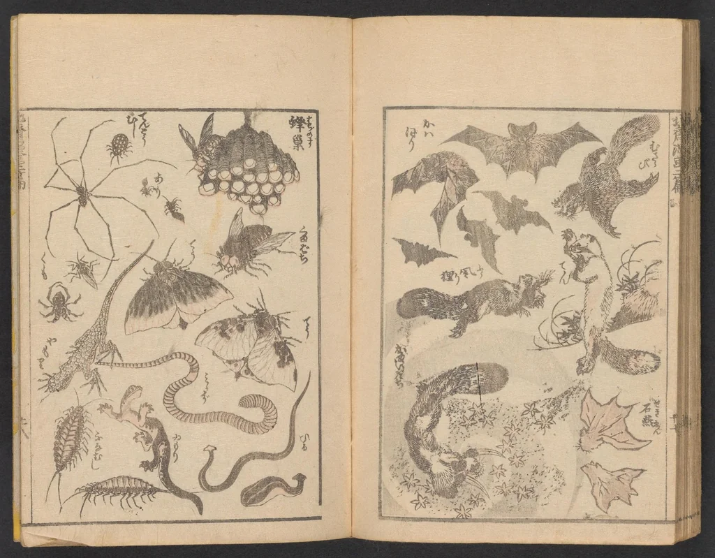 An illustration from Hokusai manga. Nihen, yonhen, gohen, shichihen, kyuhen, junihen, 1600, leaf 30
