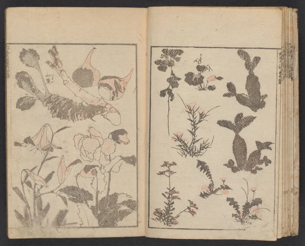 An illustration from Hokusai manga, 1600, leaf 10