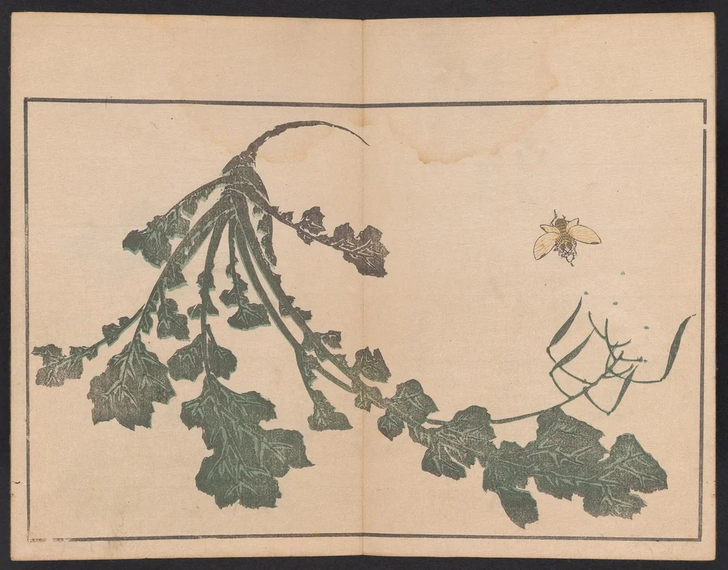 An illustration from Hokusai shasin gafu, 1814, leaf 10