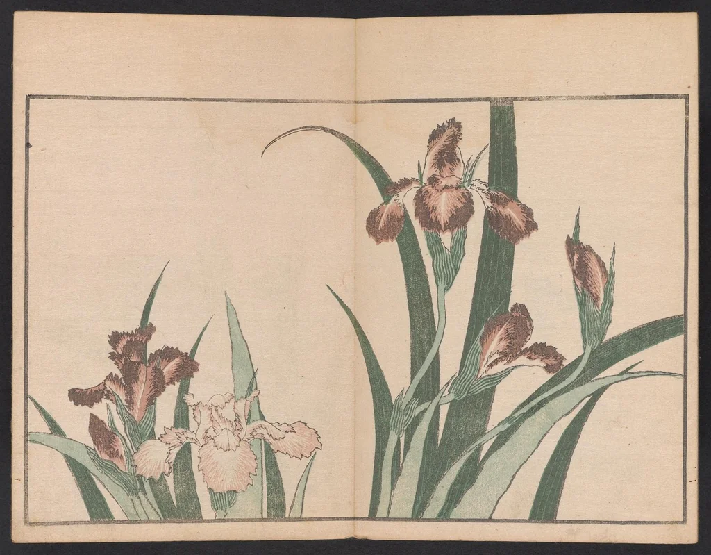 An illustration from Hokusai shasin gafu, 1814, leaf 12