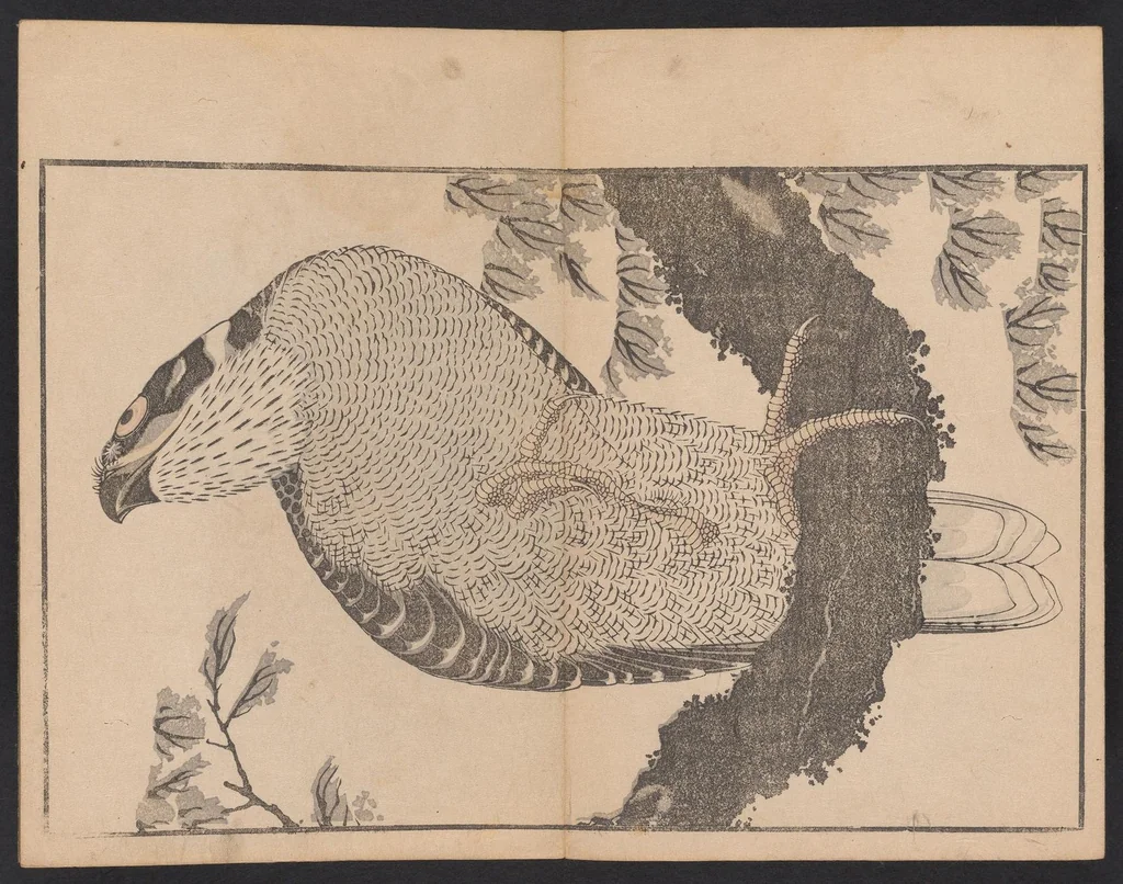 An illustration from Hokusai shasin gafu, 1814, leaf 13