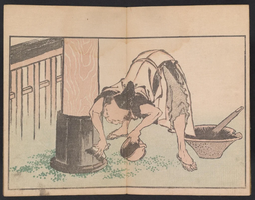 An illustration from Hokusai shasin gafu, 1814, leaf 5