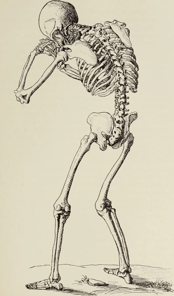An illustration from Holbeins Totentanz und seine Vorbilder, 1897, leaf 152