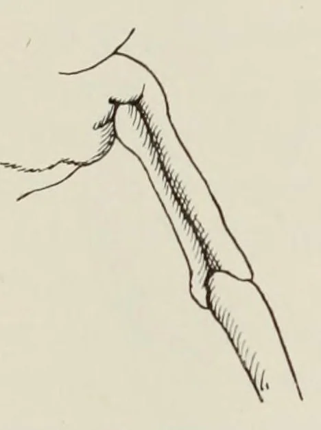 An illustration from Holbeins Totentanz und seine Vorbilder, 1897, leaf 235