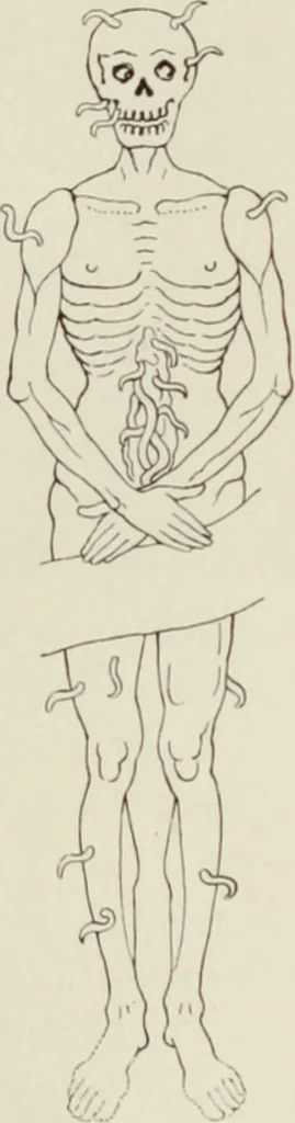 An illustration from Holbeins Totentanz und seine Vorbilder, 1897, leaf 26