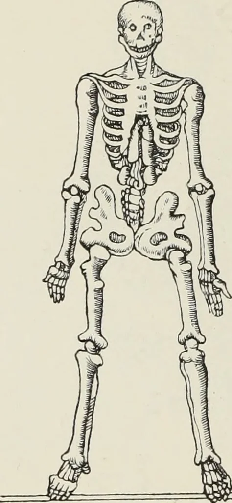 An illustration from Holbeins Totentanz und seine Vorbilder, 1897, leaf 65