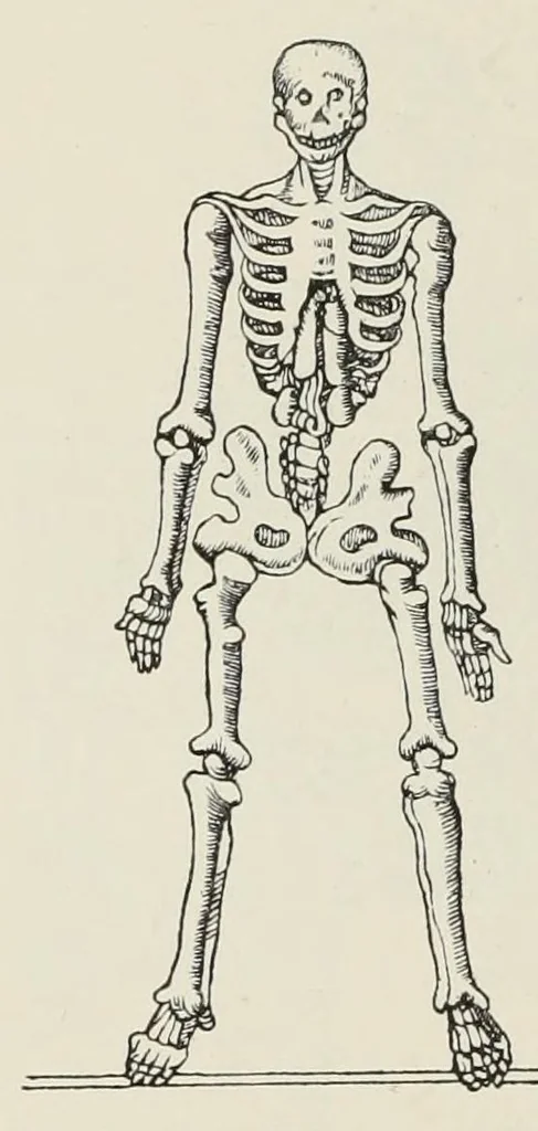 An illustration from Holbeins Totentanz und seine Vorbilder, 1897, leaf 66