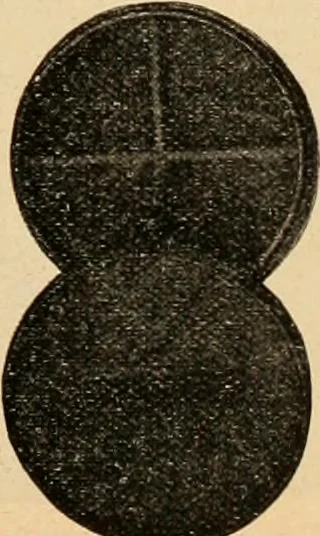 An illustration from Holiday specialties : jewelry, watches, silverware, musical goods, leather goods, sporting goods, etc., 1900, leaf 40