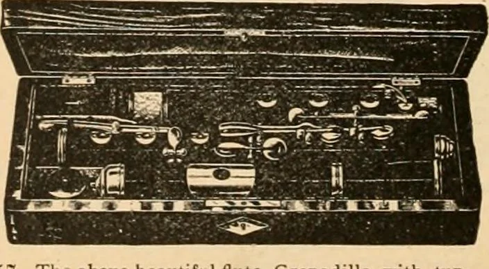 An illustration from Holiday specialties : jewelry, watches, silverware, musical goods, leather goods, sporting goods, etc., 1900, leaf 69