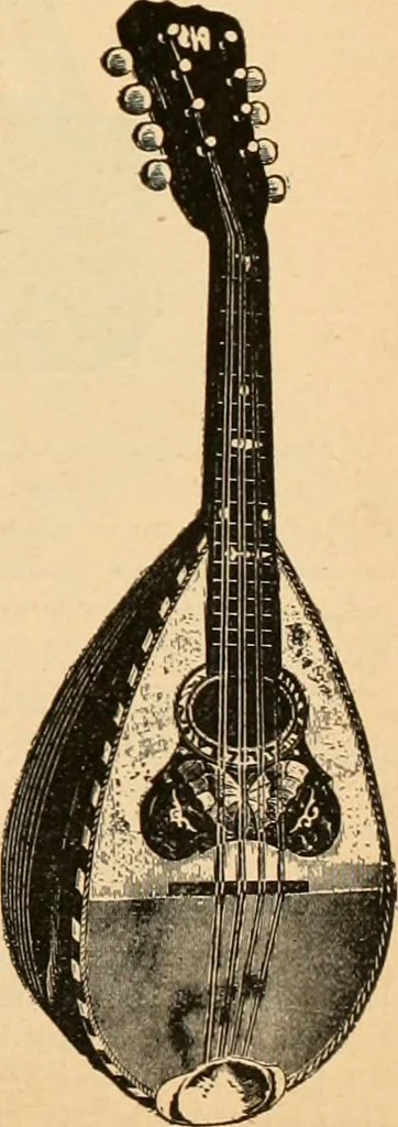 An illustration from Holiday specialties : jewelry, watches, silverware, musical goods, leather goods, sporting goods, etc., 1900, leaf 72