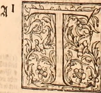 An illustration from The Holie Bible : conteynyng the Olde Testament and the Newe, 1568, leaf 1004