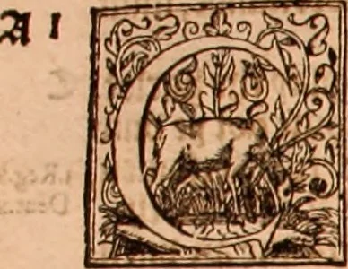 An illustration from The Holie Bible : conteynyng the Olde Testament and the Newe, 1568, leaf 1037