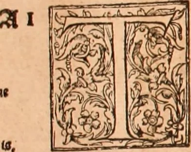 An illustration from The Holie Bible : conteynyng the Olde Testament and the Newe, 1568, leaf 1047