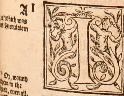 An illustration from The Holie Bible : conteynyng the Olde Testament and the Newe, 1568, leaf 1052