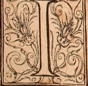 An illustration from The Holie Bible : conteynyng the Olde Testament and the Newe, 1568, leaf 1071