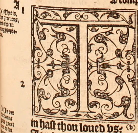 An illustration from The Holie Bible : conteynyng the Olde Testament and the Newe, 1568, leaf 1084