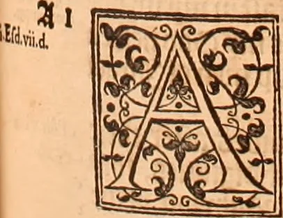 An illustration from The Holie Bible : conteynyng the Olde Testament and the Newe, 1568, leaf 1102