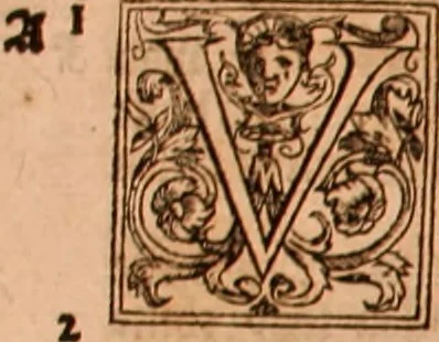 An illustration from The Holie Bible : conteynyng the Olde Testament and the Newe, 1568, leaf 1133