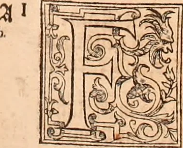 An illustration from The Holie Bible : conteynyng the Olde Testament and the Newe, 1568, leaf 1244