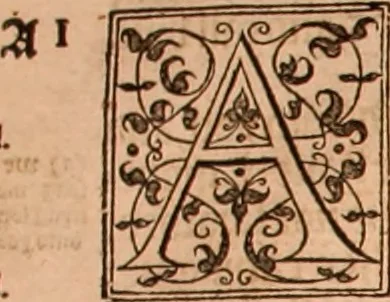 An illustration from The Holie Bible : conteynyng the Olde Testament and the Newe, 1568, leaf 1335