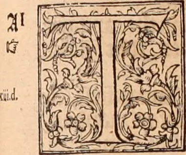 An illustration from The Holie Bible : conteynyng the Olde Testament and the Newe, 1568, leaf 1448