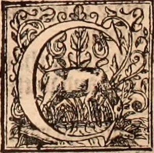 An illustration from The Holie Bible : conteynyng the Olde Testament and the Newe, 1568, leaf 1548