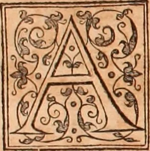 An illustration from The Holie Bible : conteynyng the Olde Testament and the Newe, 1568, leaf 165