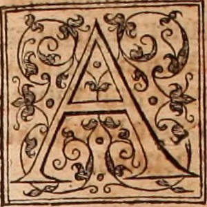 An illustration from The Holie Bible : conteynyng the Olde Testament and the Newe, 1568, leaf 168