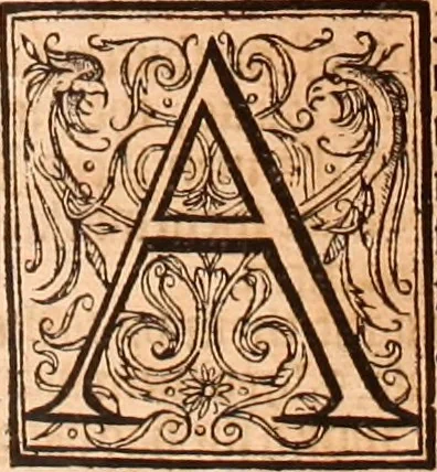 An illustration from The Holie Bible : conteynyng the Olde Testament and the Newe, 1568, leaf 316