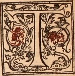 An illustration from The Holie Bible : conteynyng the Olde Testament and the Newe, 1568, leaf 34