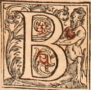 An illustration from The Holie Bible : conteynyng the Olde Testament and the Newe, 1568, leaf 34