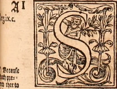 An illustration from The Holie Bible : conteynyng the Olde Testament and the Newe, 1568, leaf 402