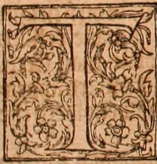 An illustration from The Holie Bible : conteynyng the Olde Testament and the Newe, 1568, leaf 405