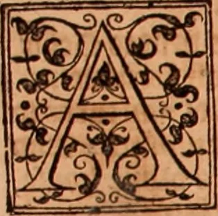 An illustration from The Holie Bible : conteynyng the Olde Testament and the Newe, 1568, leaf 443