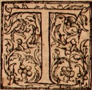 An illustration from The Holie Bible : conteynyng the Olde Testament and the Newe, 1568, leaf 455