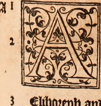 An illustration from The Holie Bible : conteynyng the Olde Testament and the Newe, 1568, leaf 464
