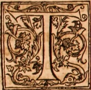 An illustration from The Holie Bible : conteynyng the Olde Testament and the Newe, 1568, leaf 541